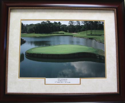 TPC Sawgrass